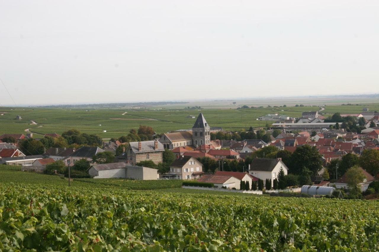 Bed and Breakfast Demeure Saint Martin à Blancs-Coteaux Extérieur photo